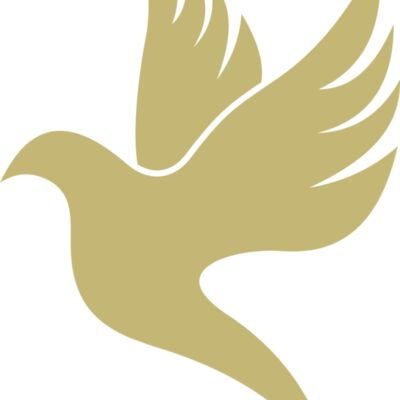 Dove 2 Thumbnail