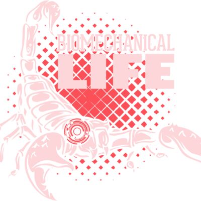 2016 03 14 023 Thumbnail